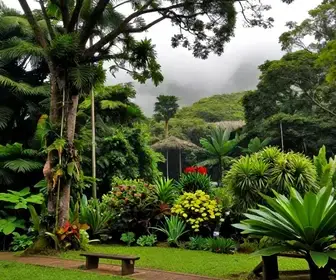 Descubra o Bosque da Barra: Um Refúgio Verde na Barra da Tijuca