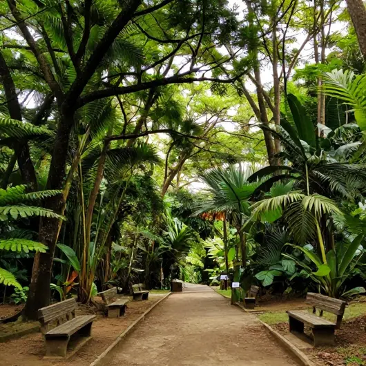 Descubra o Bosque da Barra: Um Refúgio Verde no Coração do Rio